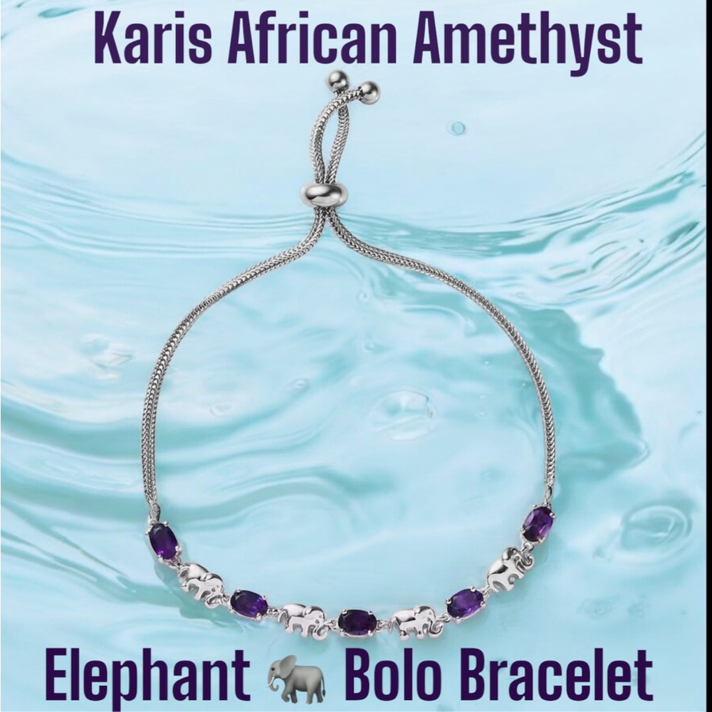 Karis African Amethyst Elephant 🐘 Link Bolo Bracelet In Platinum Bond NWOT